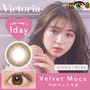 Victoria 1day Velvet Moca 